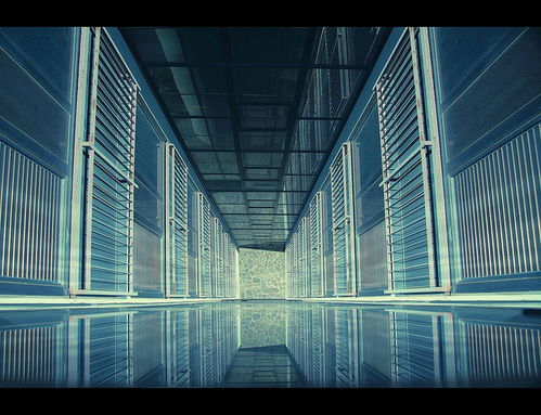 信必優(yōu) 準(zhǔn)備好進入多元宇宙了嗎